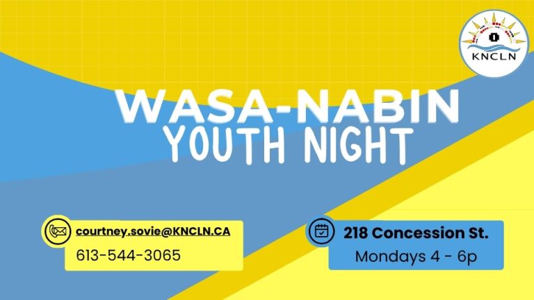 wasa-nabin fall 2025 v2