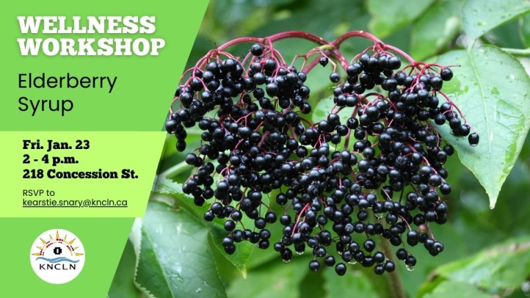 wellness-workshop-jan-2026