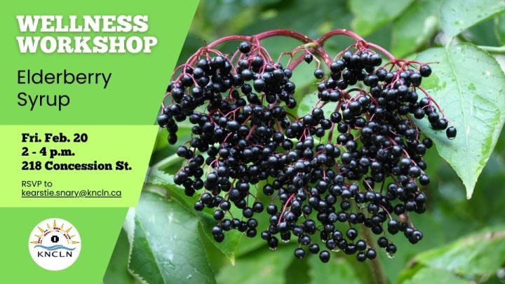 Wellness-Workshop-feb-20 2026